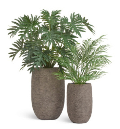 Композиция с филодендроном в кашпо Treez Effectory Terra