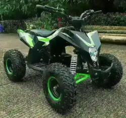 Электроквадроцикл MOTAX GEKKON 1300W