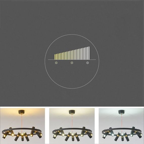 Подвесная люстра Imperium Loft Spoor 213697-26