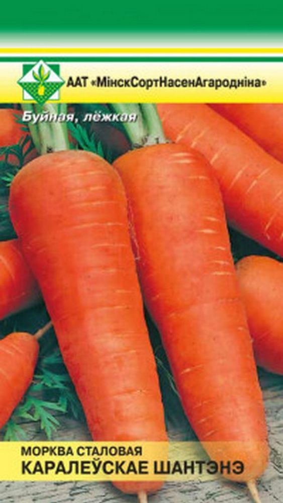 Морковь &quot;Шантенэ королевское&quot; столовая 2г