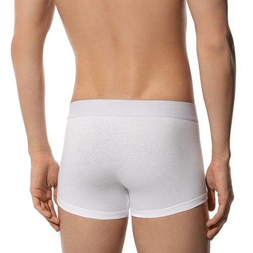 Мужские трусы хипсы белые набор 2 в 1 Bikkembergs ELEGANCE BKK1UTR10BI/2