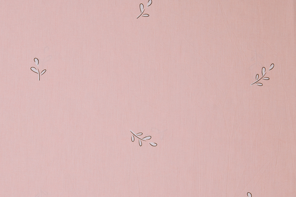 Постельное белье СайлиД B-501 сатин