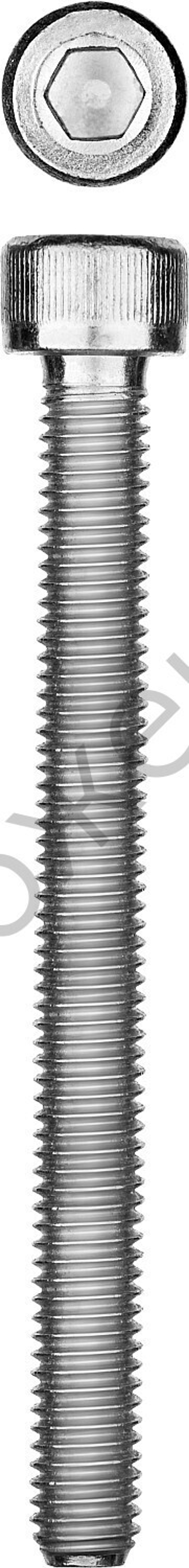 ЗУБР DIN 912 кл. пр. 8.8, М10 x 60 мм, винт свнутренним шестигранником, цинк, 5 кг, Профессионал (30318-10-060)