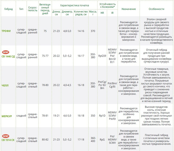 Челл F1 семена кукурузы (Seminis / Семинис) характеристики – фото 2