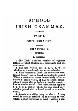 A Grammar of the Irish Language | P. W. Joyce