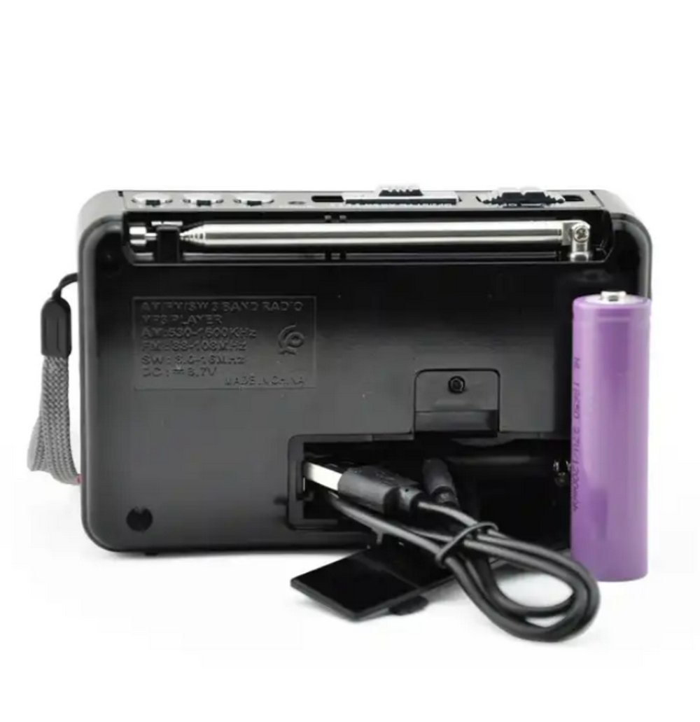 Радиоприемник Waxiba XB-895REC (USB/TF/BT) фонарик