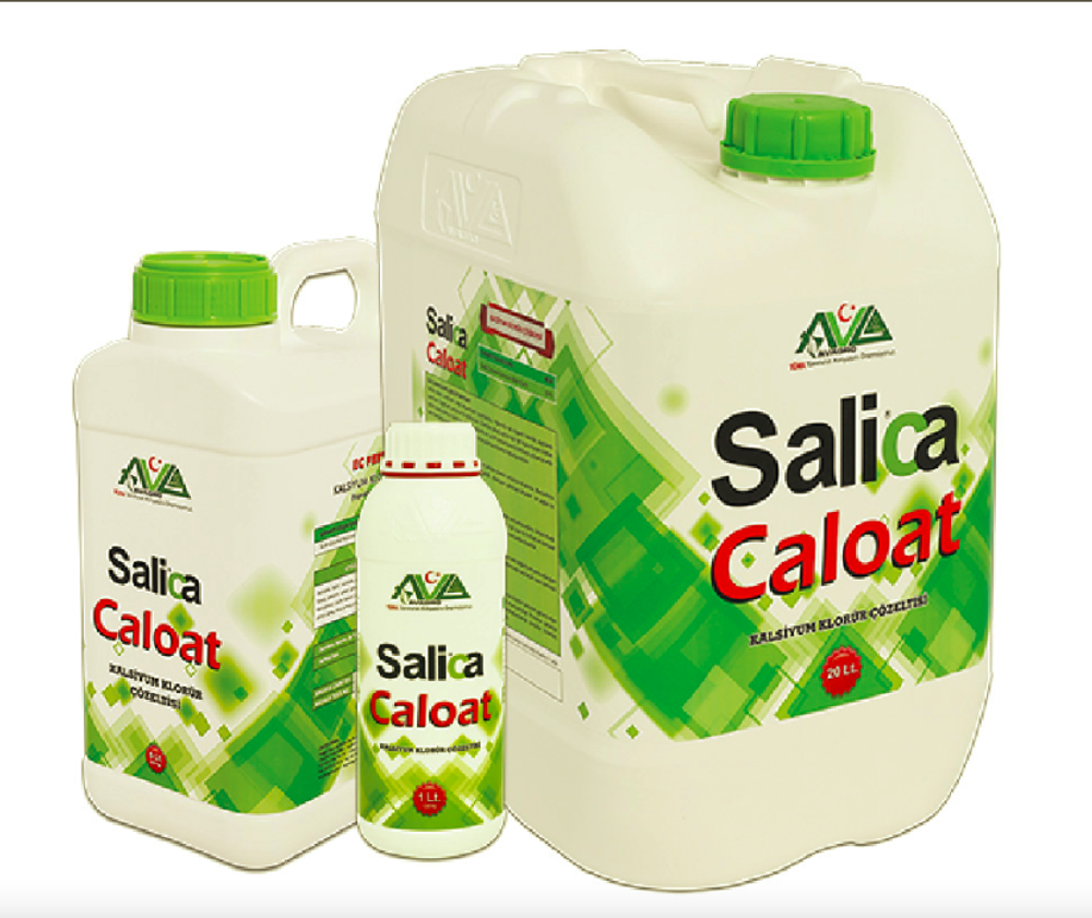 salica caloat