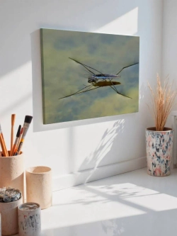 Картина на стену 40 X 50 Водянка