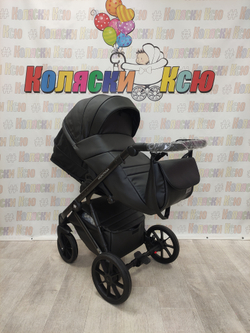 Коляска модульная Riko Basic Montana Ecco 12 Black