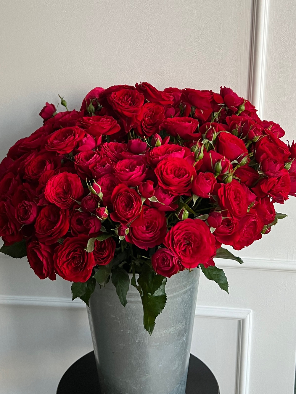 Пионовидная кустовая роза в красном оттенке