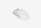 Shark X11SE White_0326513101236