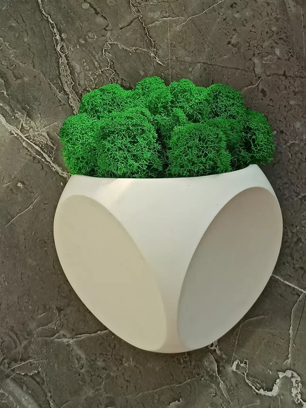 Настенное кашпо со мхом