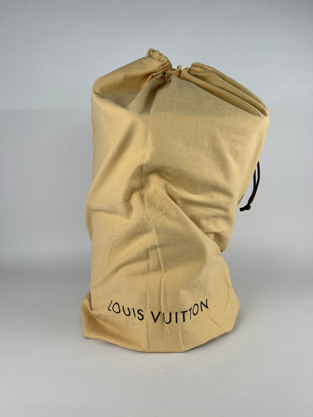 Сумка Louis Vuitton Eole