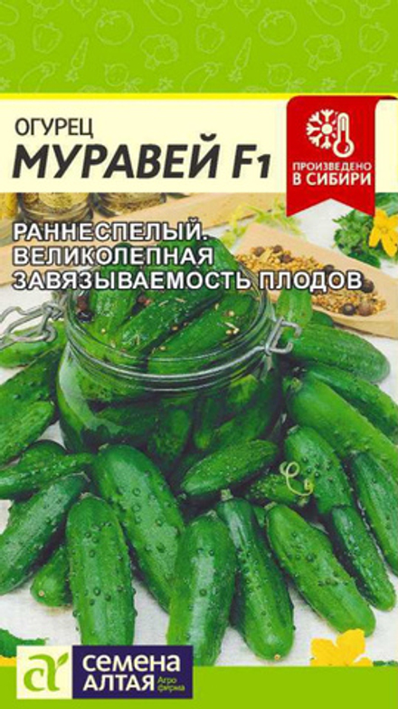 Огурец "G. Муравей F1" 5шт, Россия.