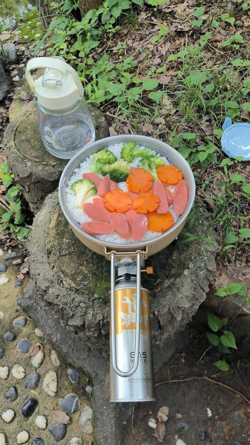 Газовая сковорода