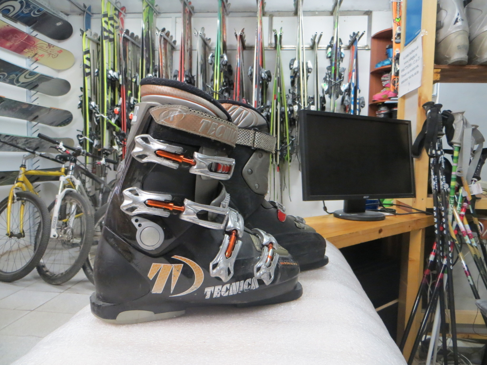 Горнолыжные ботинки Tecnica EntryX RT р43 (290мм)