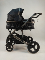 Коляска-трансформер с сумкой 2 в 1 Luxmom 555