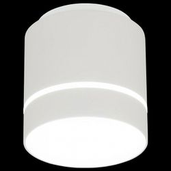 Накладной светильник Citilux Борн CL745020N