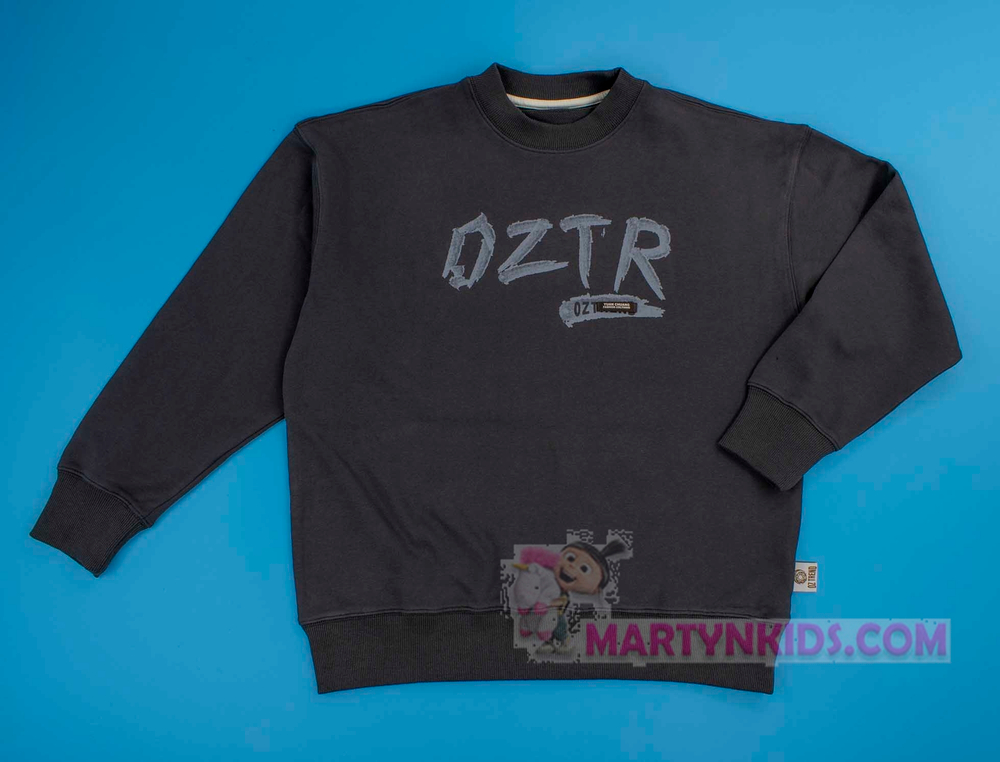 толстовка подросток OZ TR   4934