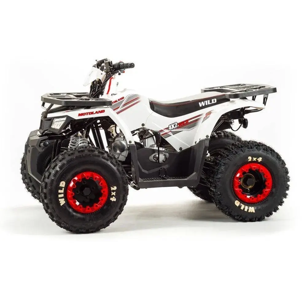Квадроцикл Motoland 125 WILD A
