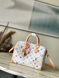 Louis Vuitton Speedy 25