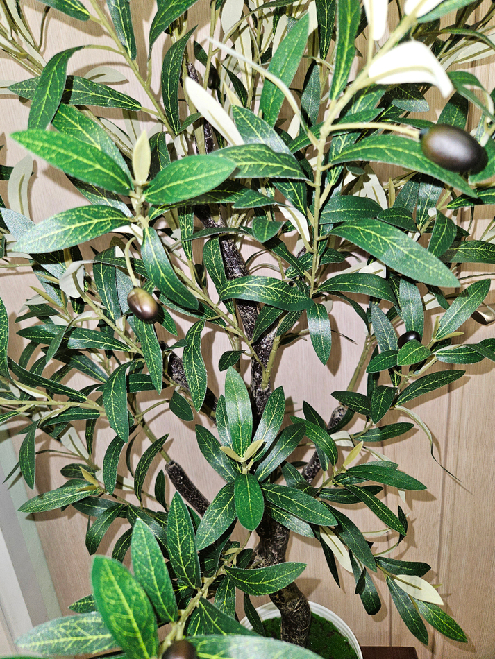 Искусственное оливковое дерево 120см в кашпо