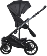 Детская коляска Riko Nano Thermo Ecco 3 в 1 с автокреслом Rant Cruise Grey 01 Black (черный)