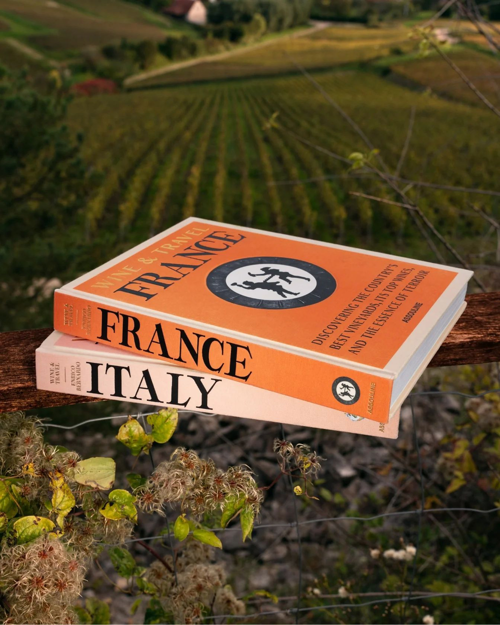 Подарочный набор книг на английском языке Assouline WINE & TRAVEL FRANCE AND ITALY GIFT SET