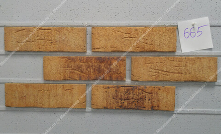 Feldhaus Klinker - R665NF11 Sintra Sabioso Binaro 240x11x71 - Клинкерная плитка для фасада и внутренней отделки