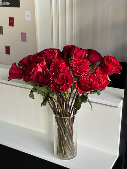 Роза кудрявая красная одноголовая