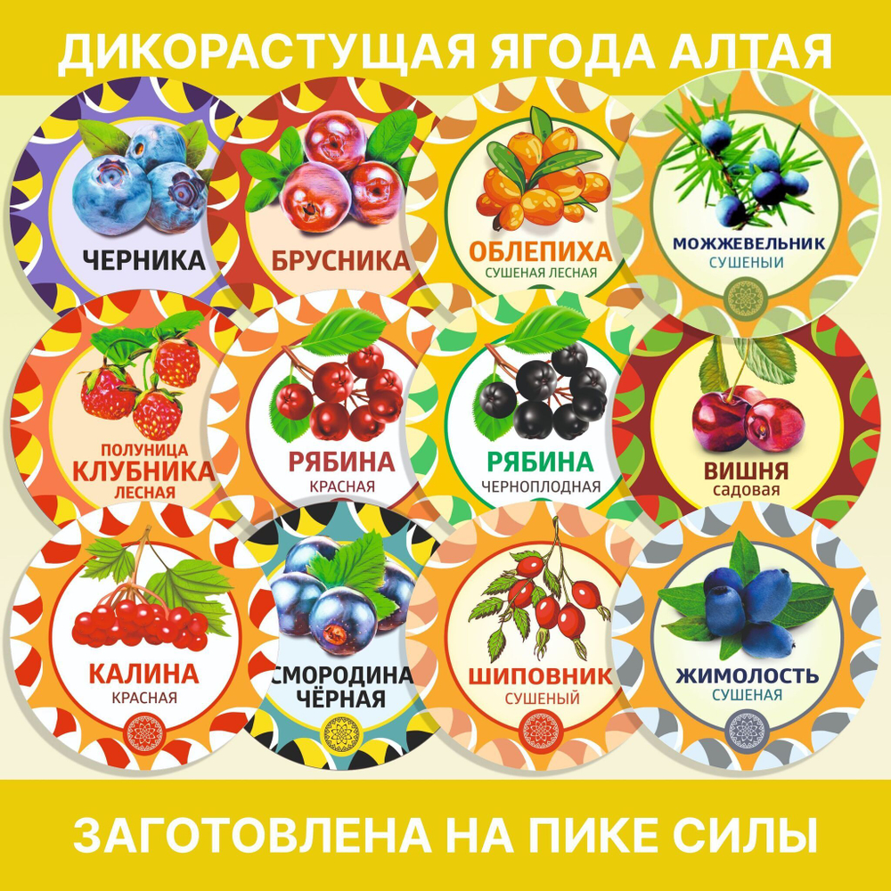 Пижма, пучок (1 шт.)  ПЖПЧ-00-001