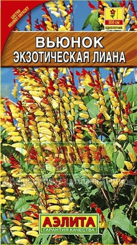 Вьюнок Экзотическая лиана звездчатый 0,4гр Аэлита