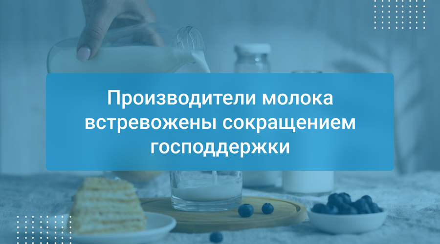 Производители молока встревожены сокращением господдержки