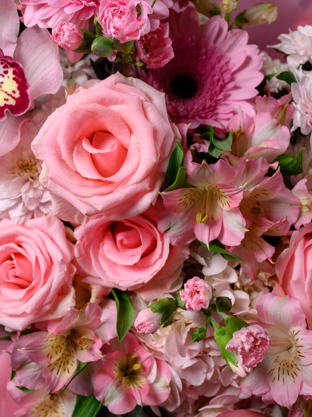 Нежный рассвет *