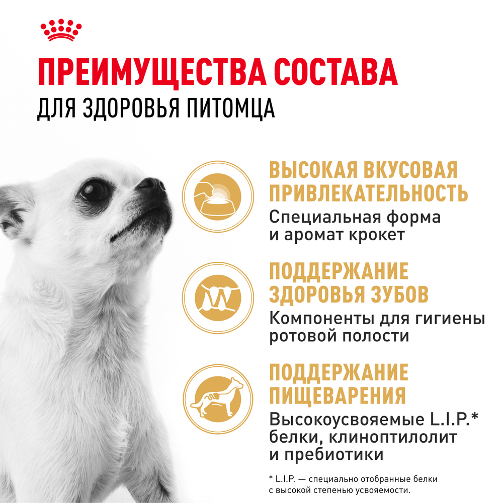 Royal Canin Chihuahua Adult Корм сухой для взрослых собак породы Чихуахуа от 8 месяцев - 0,5 кг