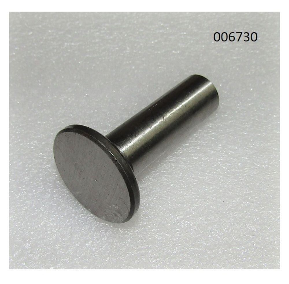 Толкатель клапана Ricardo K4100; TDK 26,42,48, N 38,56,66 4LT/Valve tappet