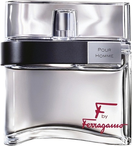 Salvatore Ferragamo F By Pour Homme