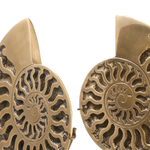 Декоративный фигурки Object Ammonite set of 2 арт.113731