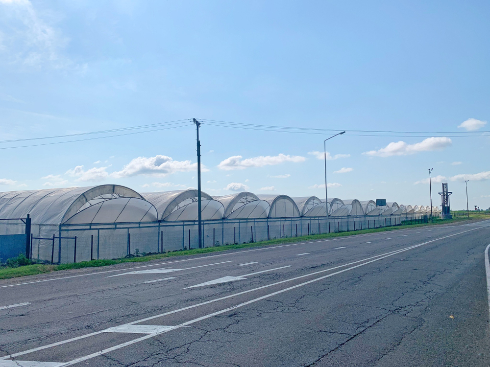 Готовый тепличный бизнес в ст.Петровская, Славянского района