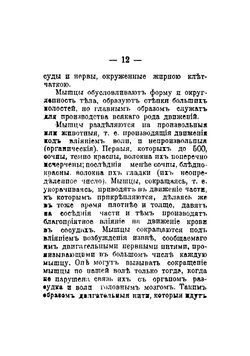 Общедоступный народный лечебник. Руководство для врачевания от всех болезней взрослых и детей без помощи врача | Павловский Владимир Михайлович