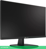 Монитор для камер видеонаблюдения AG Neovo SC-2402