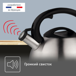 Чайник для плиты Tefal 2,5 л C7921024
