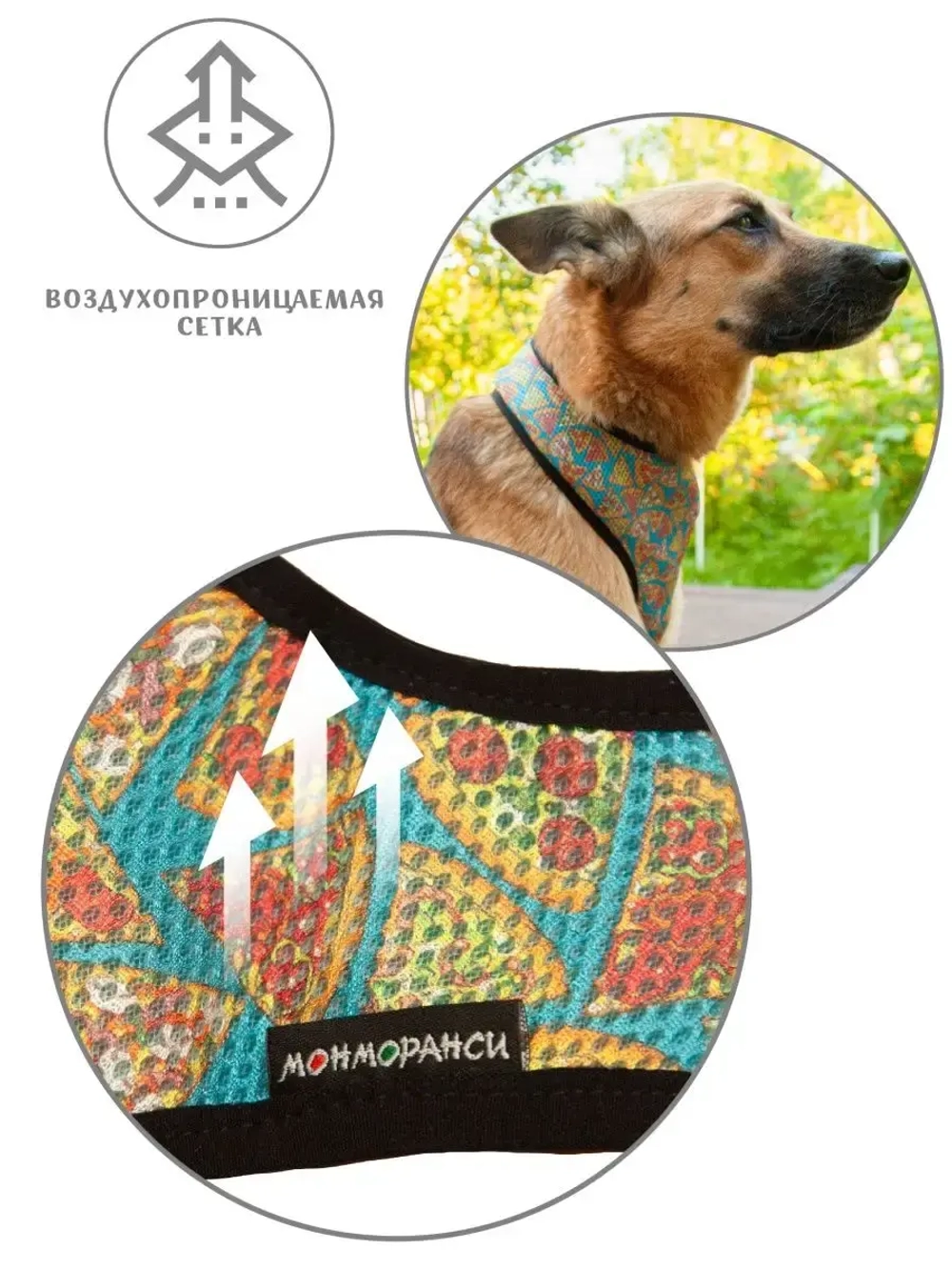 Шлейка для собак и кошек прогулочная