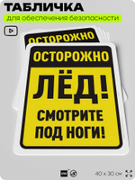 Табличка для обеспечения безопасности "Осторожно, лёд, смотрите под ноги", для офиса, по охране труда для предприятия, организаций, 40х30 см, Silver Plane x Айдентика Технолоджи