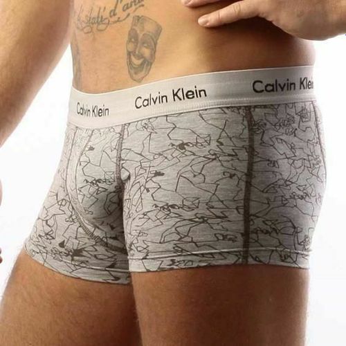 Мужские трусы хипсы Calvin Klein 365 Line серые Print