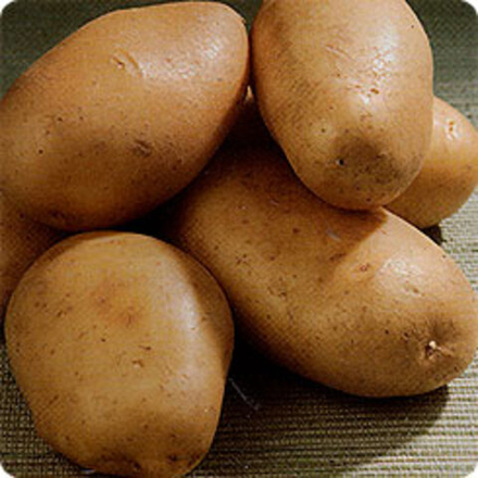 Картофель Велина  0,2-0,02гр/30шт/ Седек