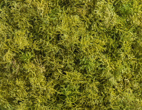 Мох Ягель коврик светло-зелёный микс 25х25 см (пластик) 40/40 20.072028LG-S