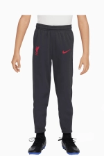 Штаны Nike Liverpool FC 24/25 Academy Pro Little kids - серый