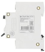 Автомат дифференциальный Systeme Electric C9D55640