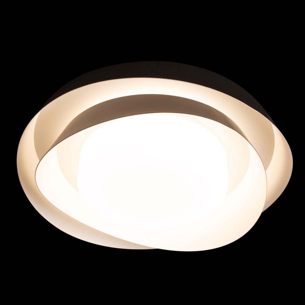 Светильник Потолочный Petale Loft It Black 10256